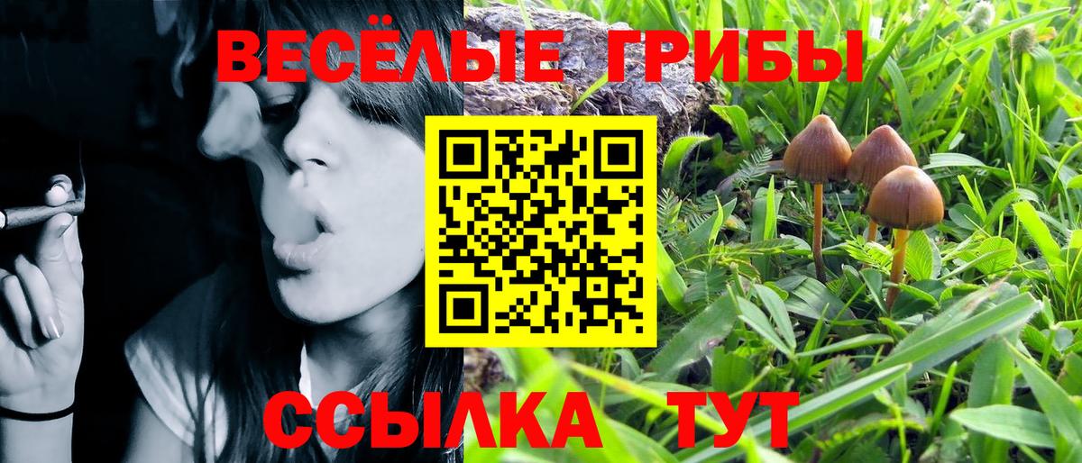 Псилоцибиновые грибы ЛСД  Вход с VPN  Белогорск 